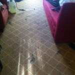Boca Raton-Carpet-Clean-before