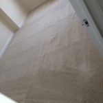 Boca Raton-Carpet-Clean-room