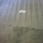 Boca Raton-Carpet-Cleaning-Carpet-Cleaning