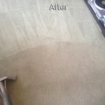 Boca Raton-Carpet-Cleaning-Company