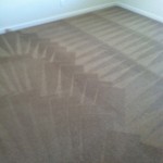 Boca Raton-Carpet-Cleaning-Wall-To-Wall