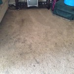 Boca Raton-Dirty-Carpet