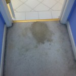 Boca Raton-Vomit-1-before-carpet