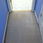 Boca Raton-Vomit-2-after-carpet