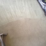 Carpet-Cleaning-Boca Raton