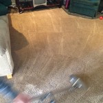 Dirty-Carpet-Cleaned-Boca Raton