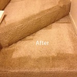 Stairs-Carpet-Cleaning-Boca Raton-B
