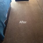 ink stain removal Boca Raton-B
